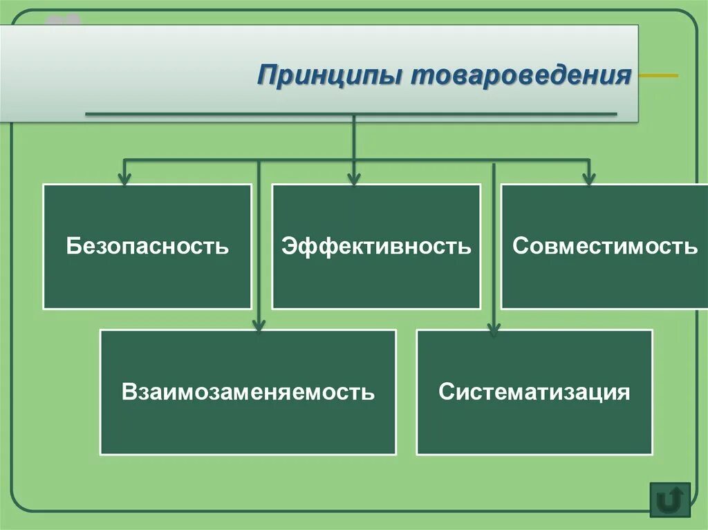 Товароведение пример. Товароведение в таможенном деле. принципы товароведения. принципы товароведения безопасность эффективность совместимость. систематизация принцип товароведения.