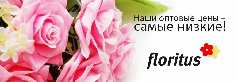 Цветы в туле. Флоритус цветы опт. Искусственный свет. Флоритус. Флоритус искусственные цветы москва амурская 5.