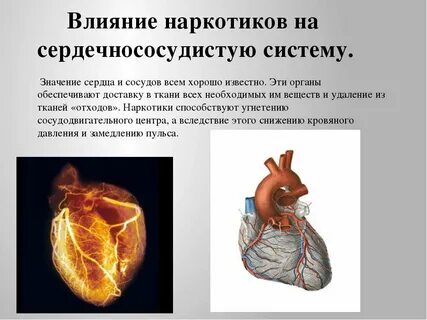 Состояние сердца