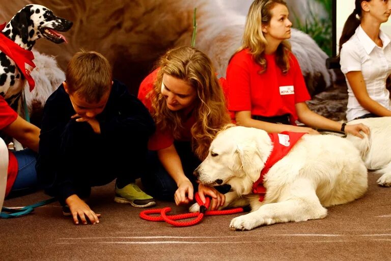 Мой щенок. Четвероногие друзья игра. Собака друг. Мой щенок. Четвероногие друзья новые.