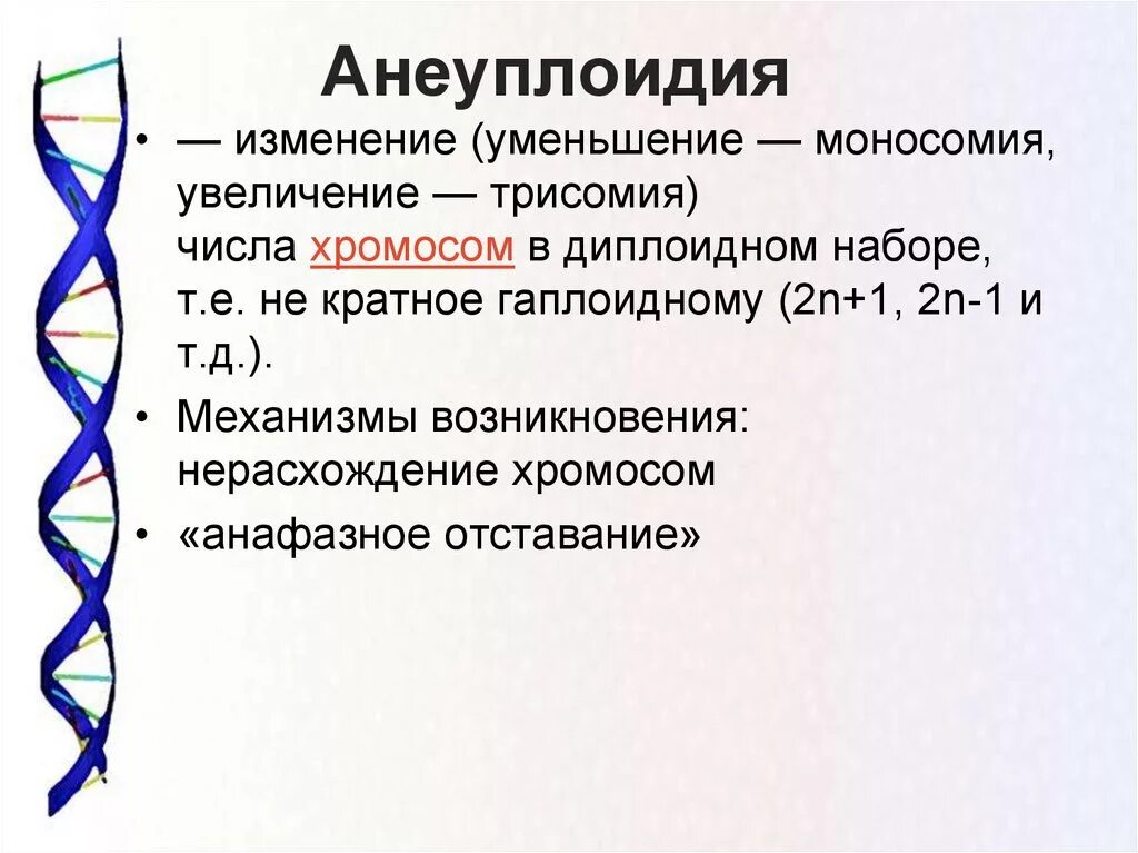 Изменение формы хромосом. Гетероплоидия анеуплоидия. Анеуплоидия вызывается геномной мутацией. Примеры анеуплоидии у человека. Анеуплоидный кариотип с трисомией по хромосоме 21.