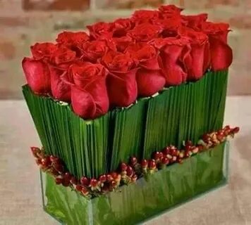 Жігіт екі транс адаммен кездесуге жазылды.