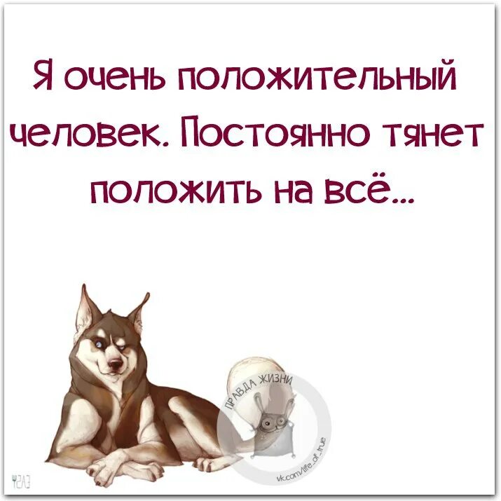 С годами меня все чаще тянет. Я очень положительный человек постоянно тянет положить на всё. я человек положительный. слишком позитивная. я вообще положительная положила на все и радуюсь.