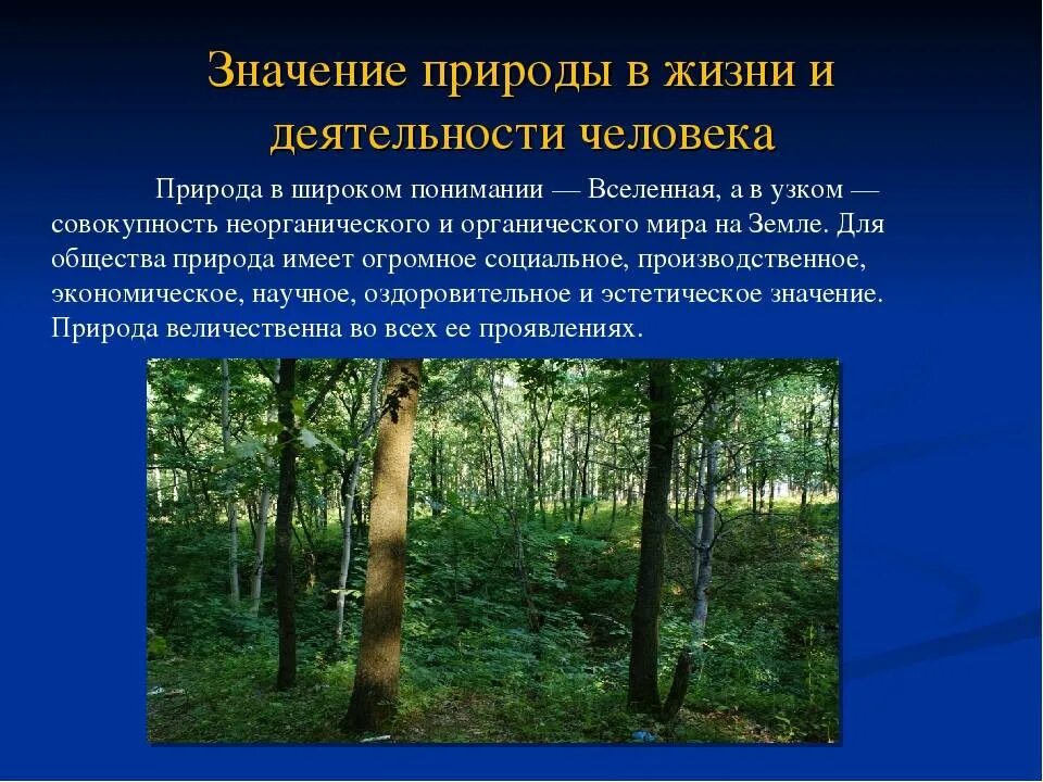 Значения человека в природе примеры