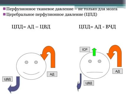 Церебральное перфузионное давление