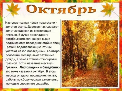 1 октября какое время года