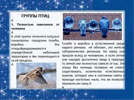 Пернатая наука