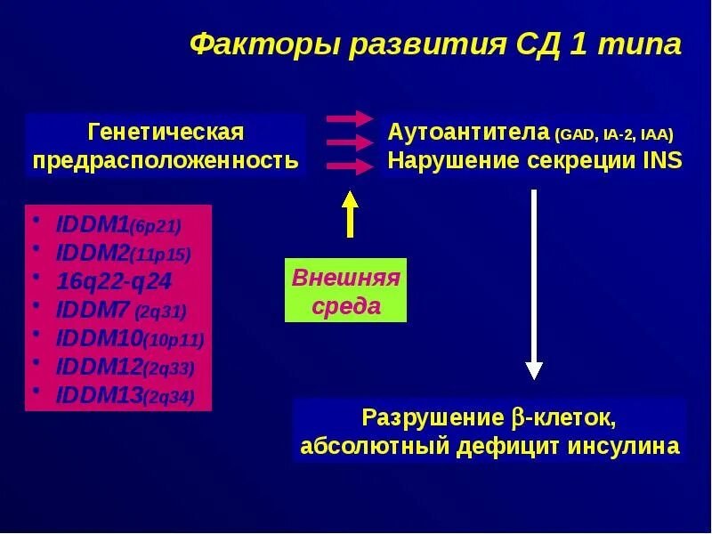 Сд 1 го типа. Факторы развития сд 1 типа. механизм развития сд 1 типа. факторы патогенеза сд 1 типа. патогенез сд 1 типа патогенез.