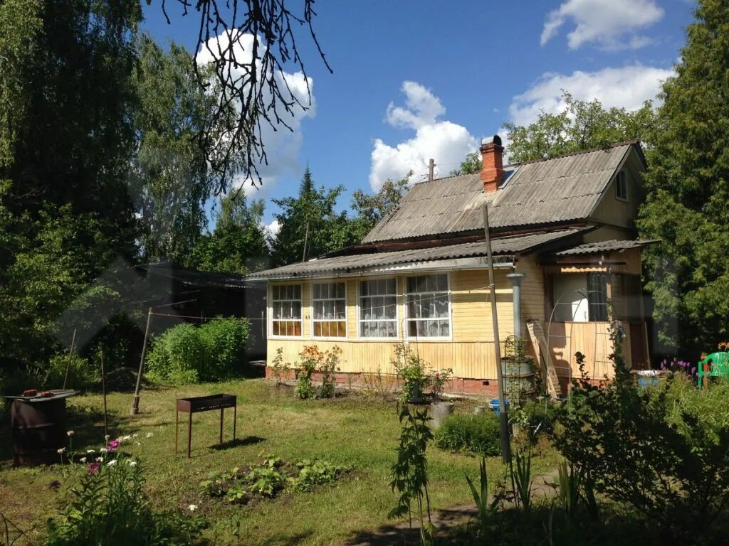 Загородный 52. СНТ Березка Московская область. СНТ Березка Воскресенск. СНТ Березка Московская район. СНТ Березка Гостилицкое шоссе.