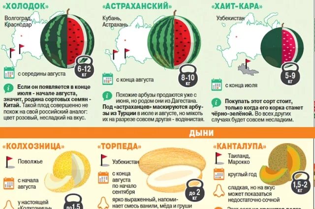 Количество витаминов в арбузе. Как выбрать Арбуз и дыню. Как выбрать Арбуз инфографика. Арбуз калории. Как правильно выбрать Арбуз и дыню.