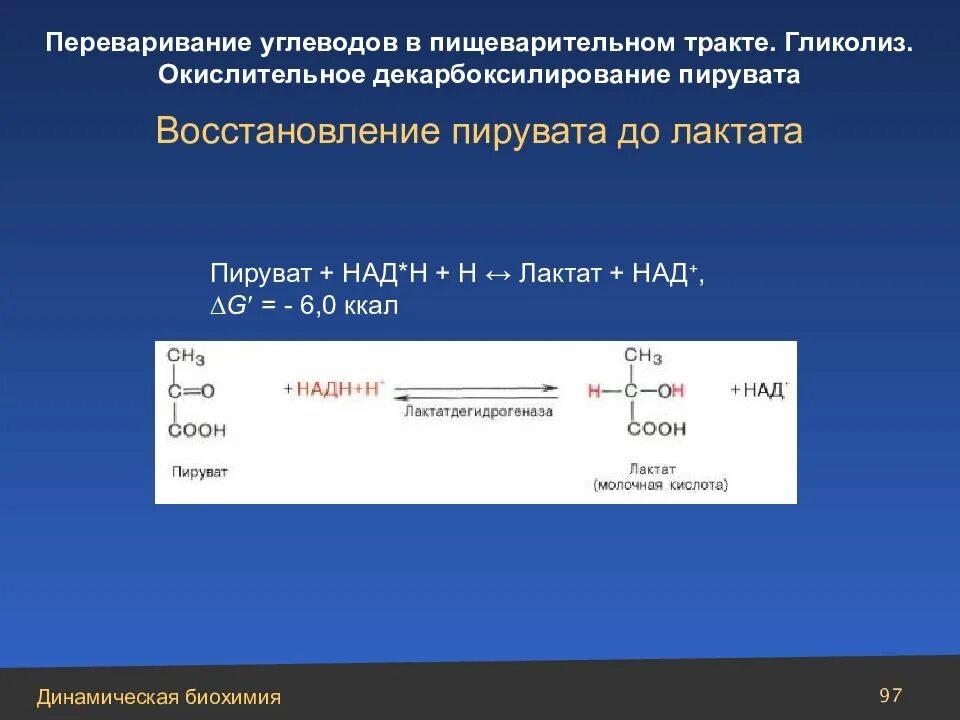 Кислоты восстанавливаются до. Пируват в лактат. Лактат биохимия. Восстановление пирувата до лактата. Реакция из пирувата в лактат.