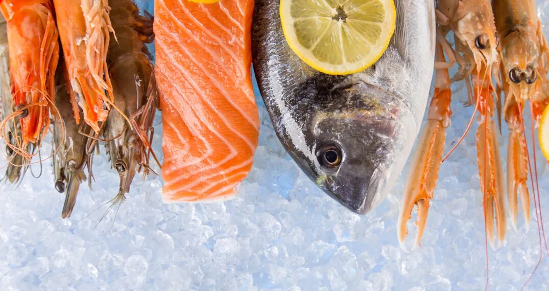 Рыбные продукты. Рыба ямала. Рыба со льдом. Подмороженная рыба. Замороженная рыба.