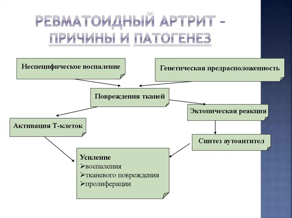 Ревматоидный артрит этиология. Патогенез ревматоидного артрита. Патогенез ревматоидного артрита схема. Ревматоидный артрит патогенез патологическая анатомия. Ревматоидный артрит патогенез патанатомия.