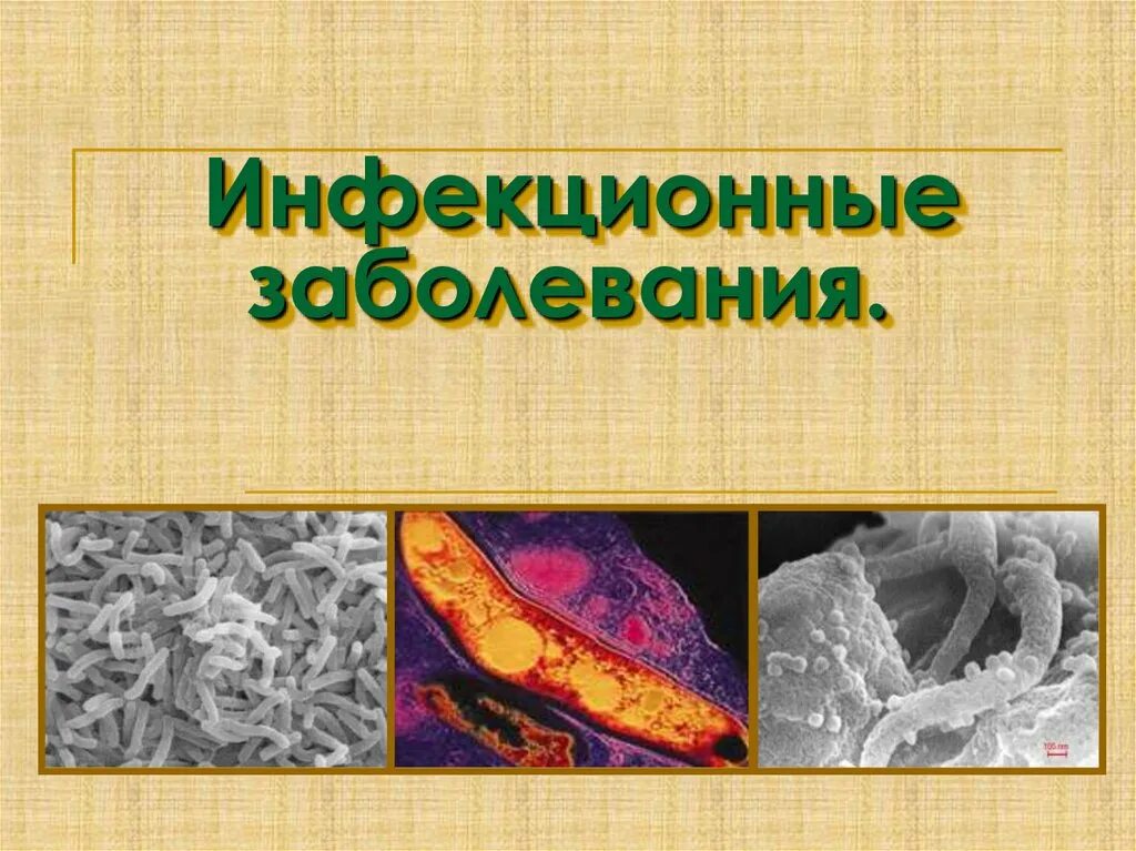 Класс инфекционных заболеваний. Профилактика инфекционных болезней. презентация на тему инфекционные болезни. инфекционные заболевания презентация. профилактика инфекционных заболеваний презентация.