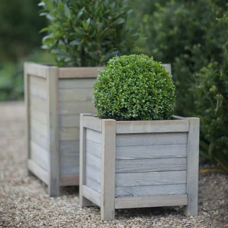 Вазон высокий. Outside plant. Контейнерное озеленение бересклет. Outside plant. Кашпо для цветов уличные.