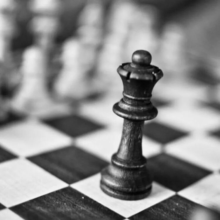 White chess