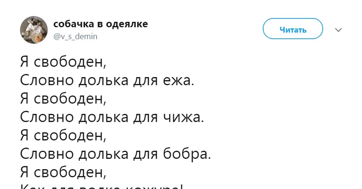 Я свободен. Я свободен словно. Я свободен слова. Я свободен словно птица. Текст песни словно птица