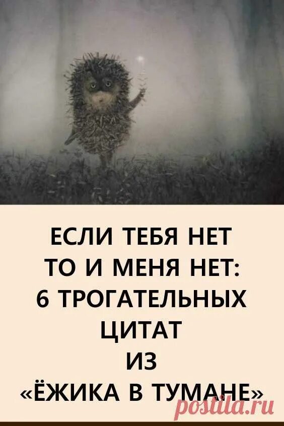Ежик в тумане цитаты. Ёжик в тумане если тебя нет. цитаты из ежика в тумане. если тебя нет то и меня нет ежик.