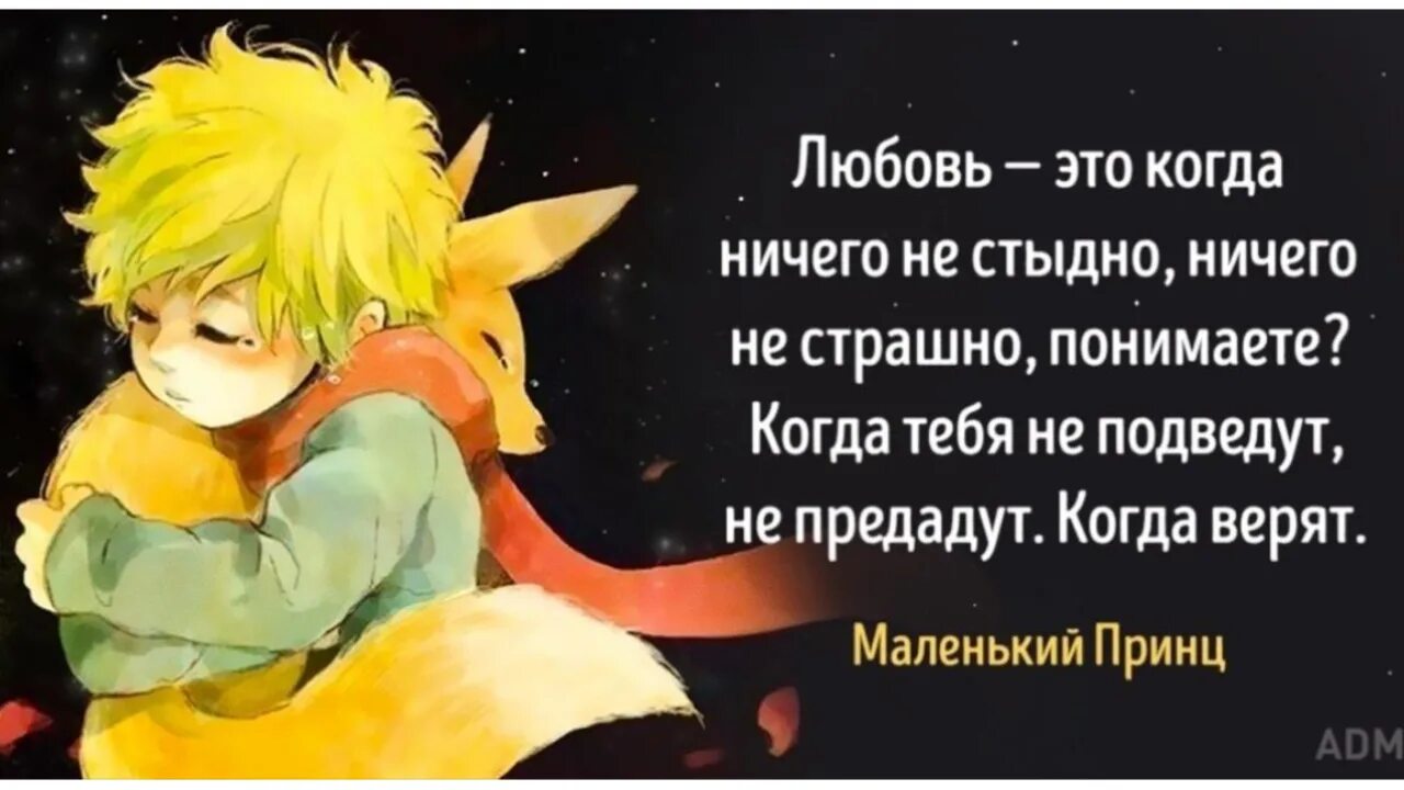 Выписать афоризмы из маленького принца