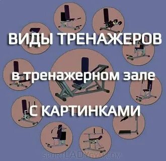 Что относится к видам тренажеров по назначению