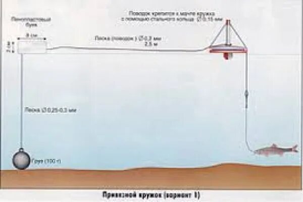 Оснастка кружков на щуку. Оснащение кружков на щуку с грузом. Кружок с грузом на щуку. Кружки для рыбалки на щуку с грузом. Сколько можно ставить жерлиц в 2024 году