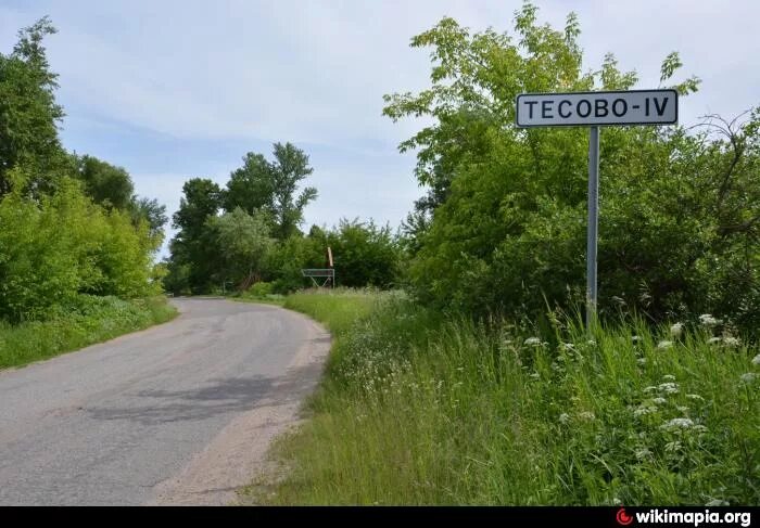 Поселок тесово ленинградская область. Поселок тесово ленинградская область. Поселок тесово ленинградская область. Деревня ям-тёсово. Тёсово-4.