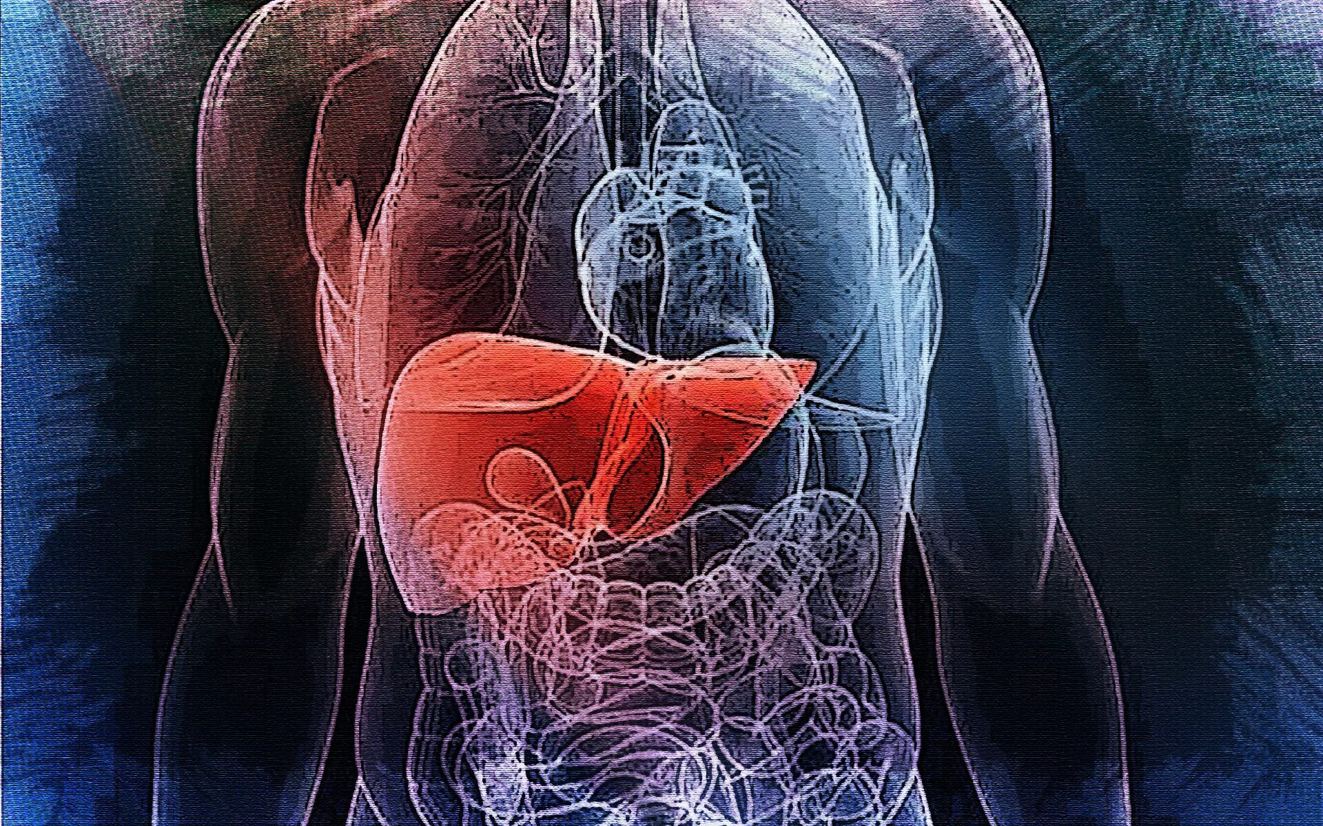 Внутренние органы печень. Субпродукты печень сердце почки по пищевой ценности относятся к. Субпродукты печень почки. Печень почки железо. Кориандр лечит почки.