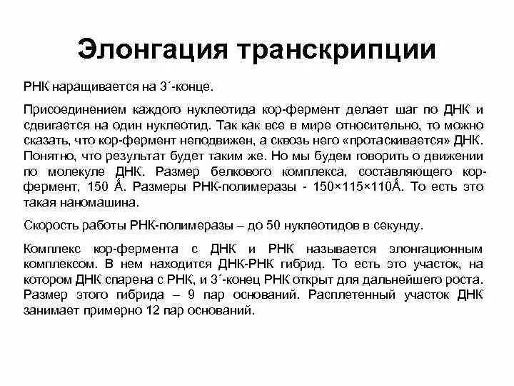 Элонгация транскрипции. Элонгация транскрипции у эукариот. Процесс элонгации транскрипции. Кор фермент.