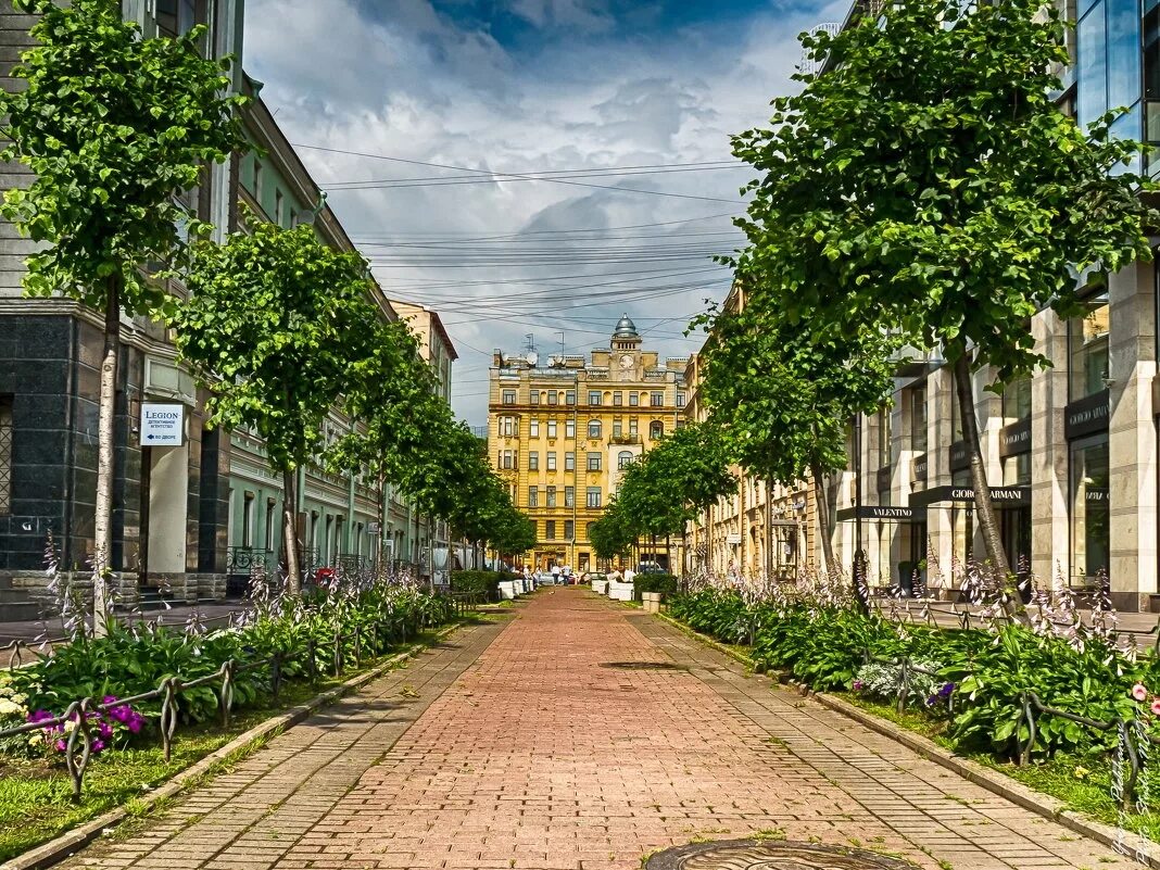 Санкт-Петербург улицы. Центр Питера улицы. Зелёные улицы Санкт-Петербурга. Лето Санкт-Петербург центр города. Зеленые районы спб