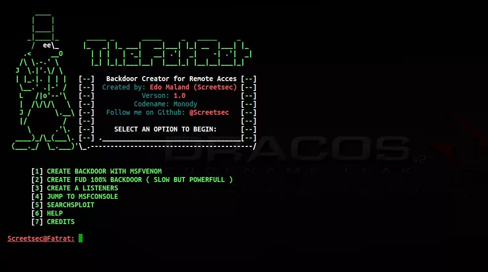 Rat hacking. Хакинг искусство эксплойта. xterm. the fat rat kali linux. linux rat.