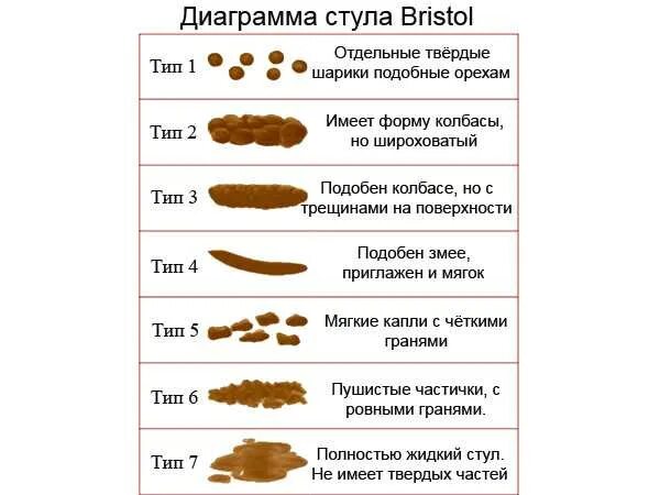 Почему какают черным