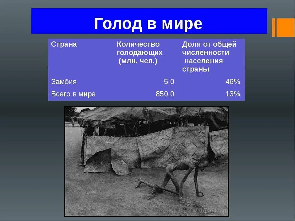 Голод статьи. Презентация на тему голод.