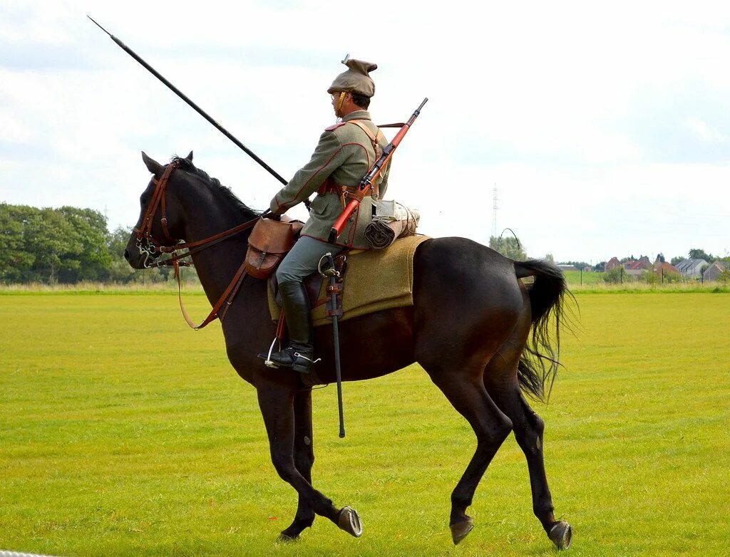 Кавалерист ww1. German ww1 Cavalry. Австрийская кавалерия. Кавалерийский конь.