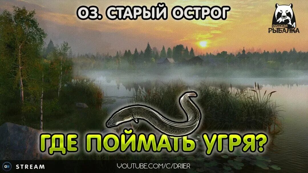 Где ловить угря. Угорь русская рыбалка 4.