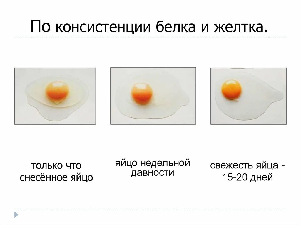 Почему яйцо оранжевое. Цвет куриного желтка. Нормальный цвет желтка. Цвет желтка яиц. Желток куриного яйца.