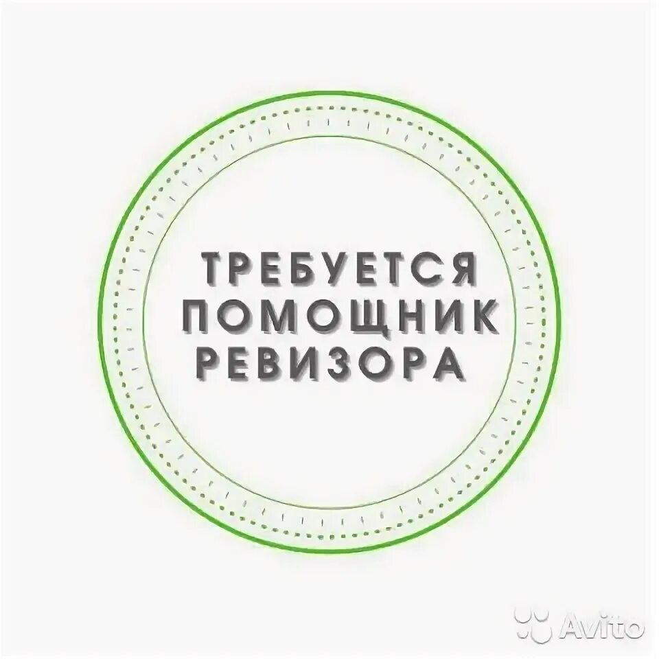 Помощник Ревизора. Помощник Ревизора вакансия. Картинка помощник Ревизора. Вакансия Ревизор картинка. Счетчик ревизор оплата