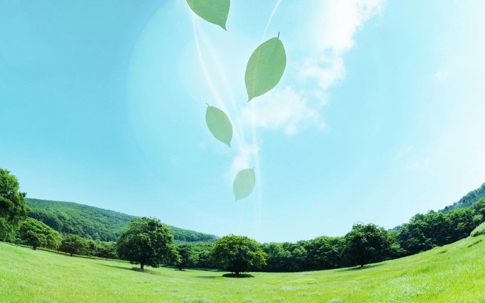 Фон по экологии. Фон для презентации лето. Слайд изображение природы. Шаблон для презентации природа. Шаблон для презентации природа.