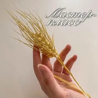 Класс колосок