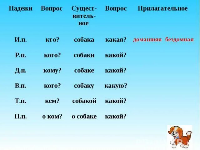 Собака по падежам. Таблица падежей. Собаку падеж. Изменить по падежам слово собака.