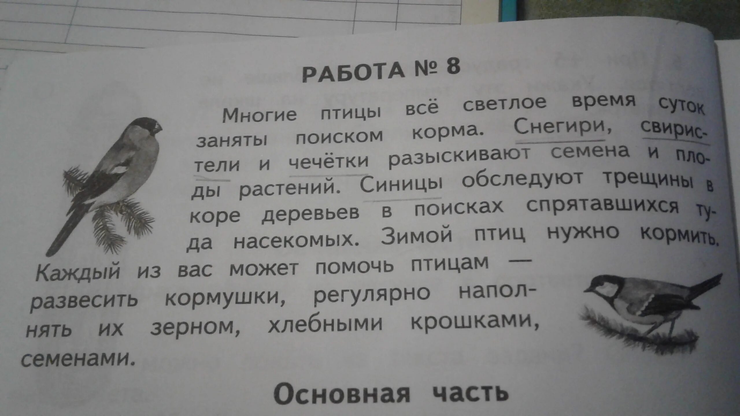 Впр текст про птиц. Птица однокоренные. Птица однокоренные слова. Однокоренные слова к слову птица 2 класс. Однокоренные слова с орфограммой в корне.