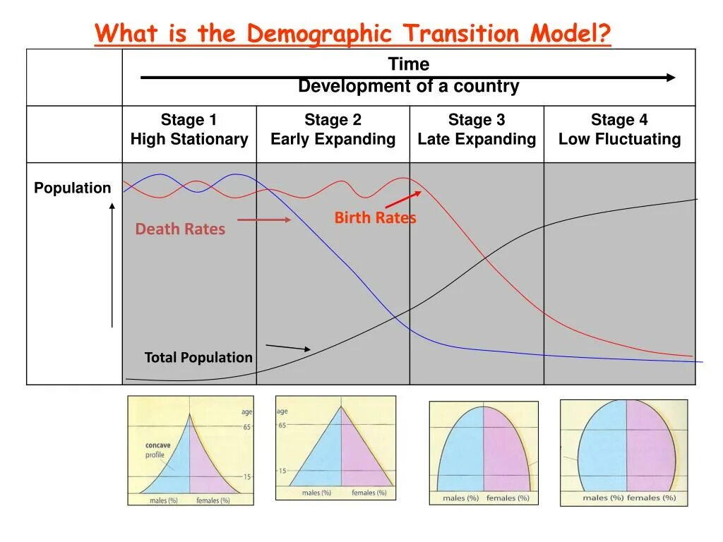Transition height. Demographic transition. transition model. what is demographic. modal transition.