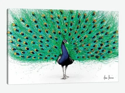 As happy as a peacock
