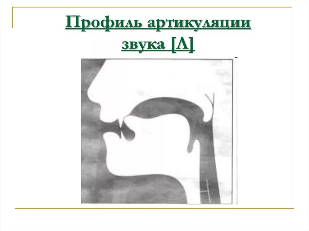 Профили артикуляции звуков. Артикуляция звука л и ль. Артикуляционный уклад звука л. Артикуляционный профиль звука л и ль. Звук л артикуляция звука.