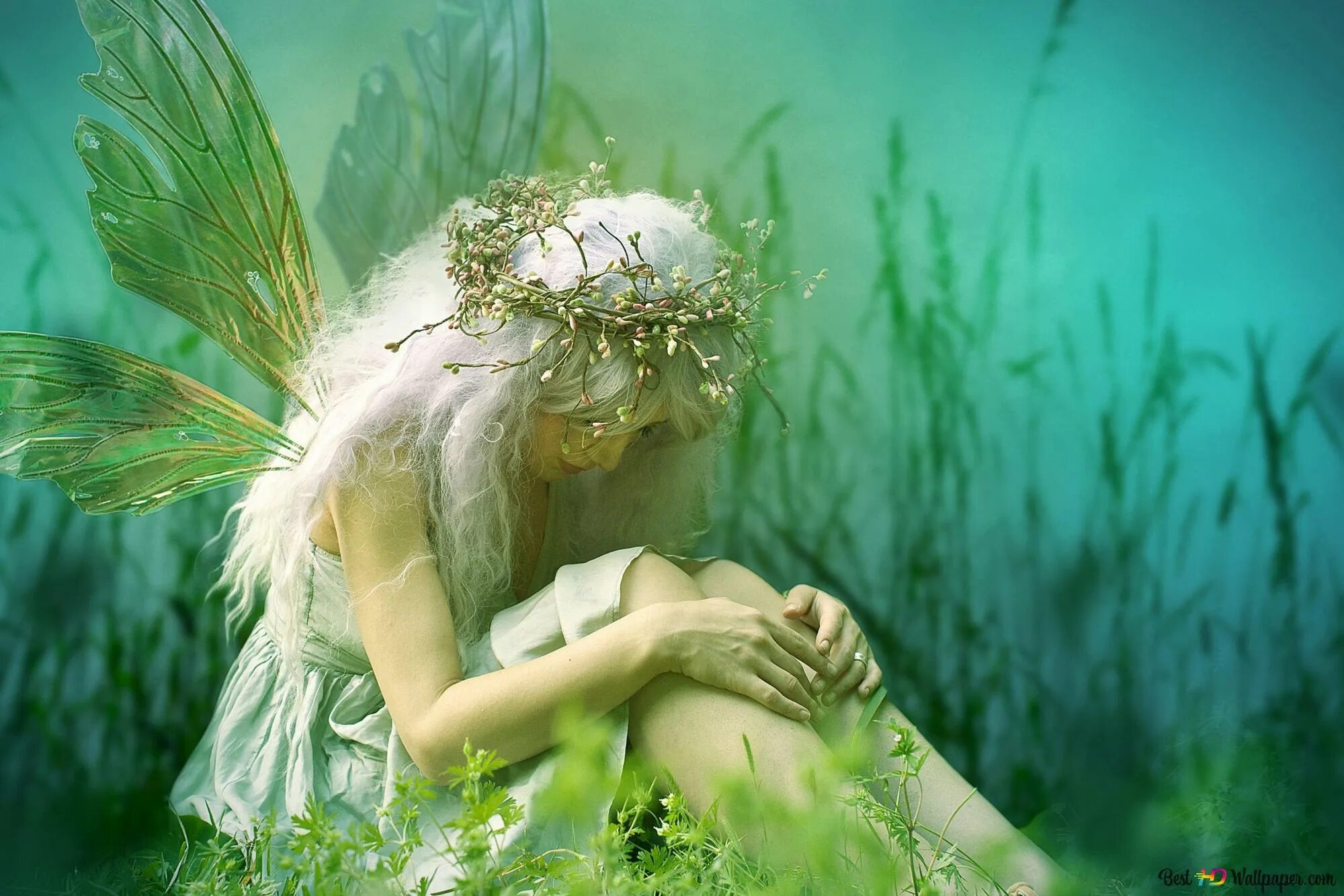 Фея в облаках. Фея душа твоя горела. Фея на месяце. Константин бальмонт фейные сказки. Картина лесная фея.