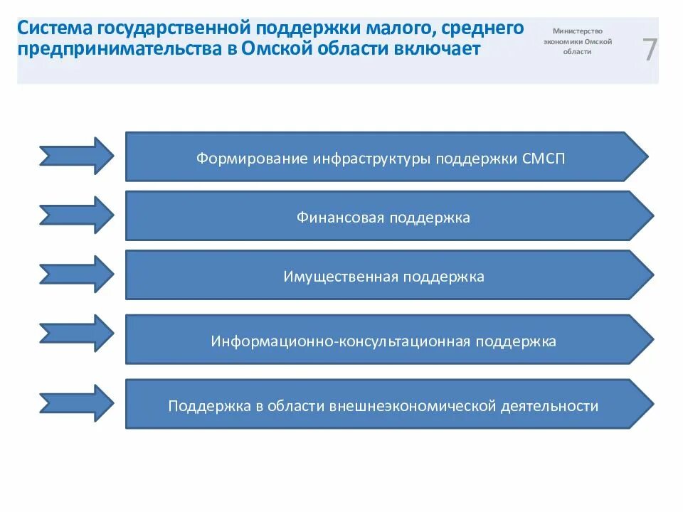 Система финансовой поддержки. Система государственной поддержки предпринимательства. Механизм государственной поддержки. Система государственной поддержки малого бизнеса. Система поддержки малого предпринимательства.