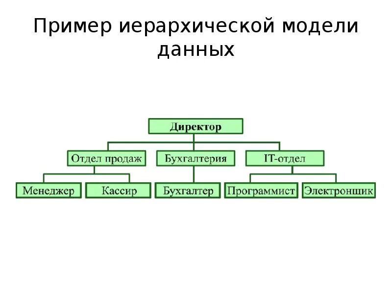 Иерархическая структура базы данных. Примеры иерархических баз данных. Иерархическая база данных таблица. Примеры иерархий БД. Иерархического способа организации данных