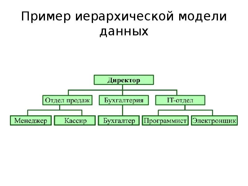 Иерархического способа организации данных. Иерархическая структура базы данных. Примеры иерархических баз данных. Иерархическая база данных таблица. Примеры иерархий БД.