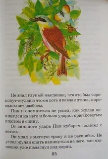 Лесные домишки текст