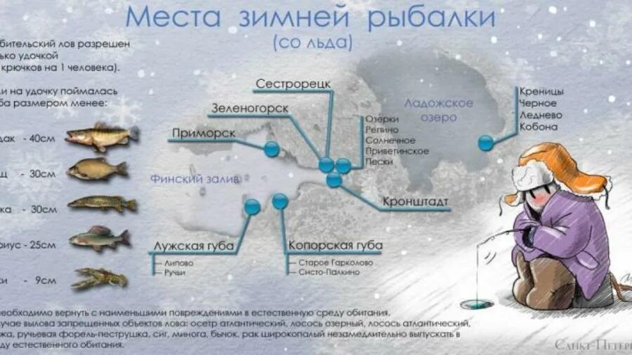 Место для рыбалки. Места рыбалки зимой в Ленинградской. Зимняя рыбалка места на карте. Интересное о зимней рыбалке. В каких местах ловят рыбу