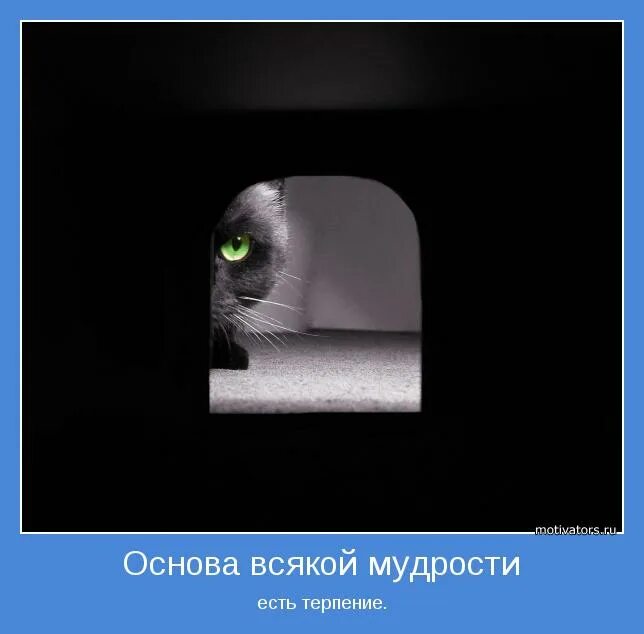 Основа всякой мудрости. Основа всякой мудрости. Высказывания о смелости и решительности. Терпение цитаты. Высказывания о спокойствии.